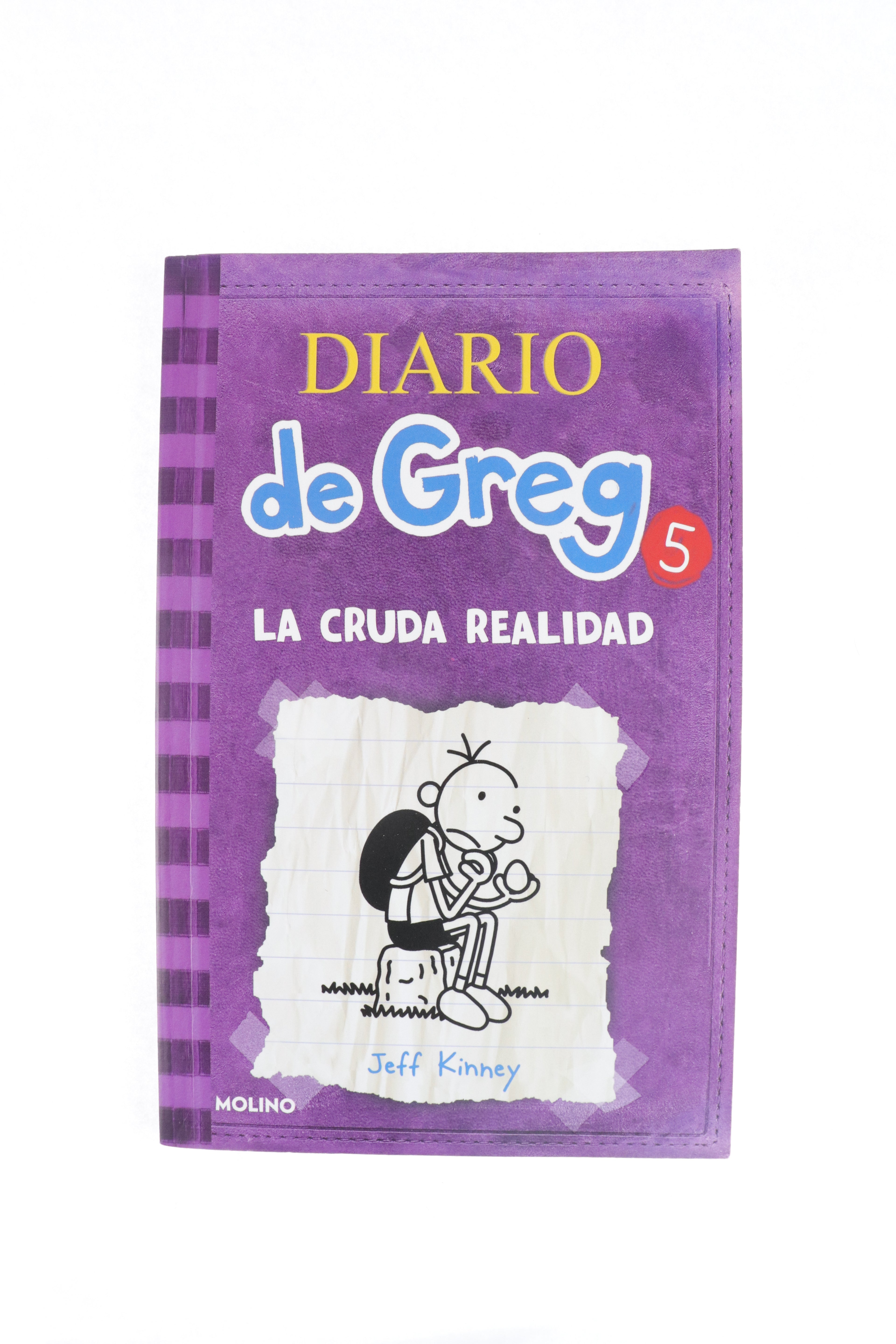 Diario de Greg 5: La cruda realidad