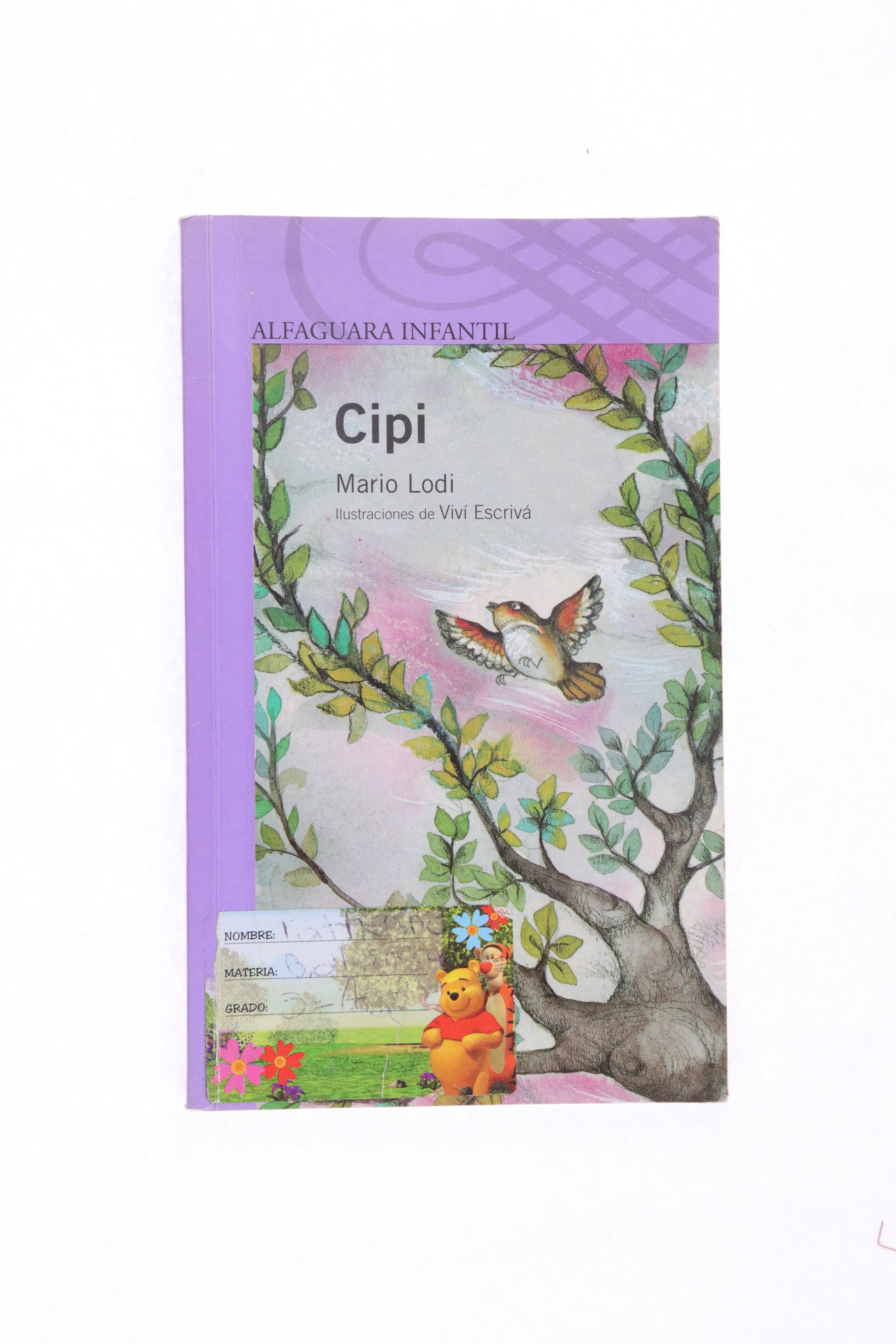 Cipi - Bueno